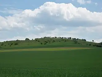 Blick von Westen