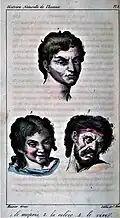 Menschliche Gesichtsausdrücke in Œuvres complètes de Buffon avec les descriptions anatomiques de Daubenton