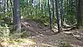 Heutiger „Zugangsbereich“ an der SW-Ecke vom Höhenweg aus (s. Karte Pkt. 8)