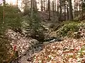 Der Ohrn-Quell­bach bei Mainhardt-Bubenorbis