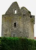 Ruine des "Grand'maison" in Leugny