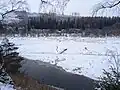 Zufrierender Okerstausee