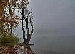 Herbststimmung
