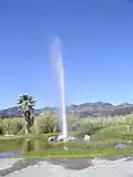 "Old Faithful"-Geysir