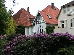 Rhododendronblüte an der Mühlenhunte