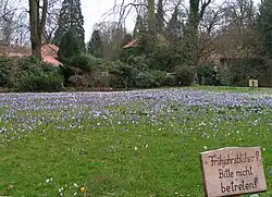 Schlossgarten im Februar