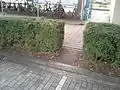 Wunschpfad durch ein Gebüsch an der Zugstation in Asse, Belgien