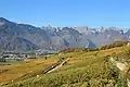 Rebberge bei Ollon