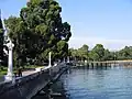 Uferpromenade von Sochumi