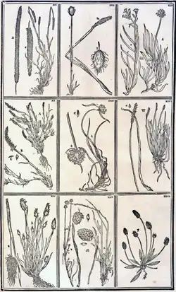 Tab. III