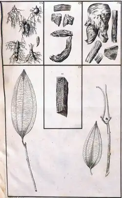 Tab. 20