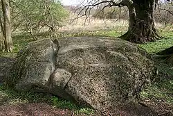 Quoltitz