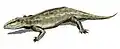 Ophiacodon retroversus
