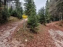 Weggabelung am Oreinzasattel