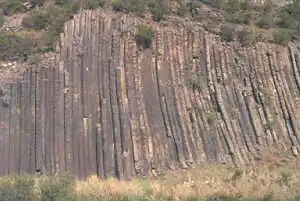 Organ Pipes