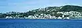 Oriental Bay von Queens Wharf