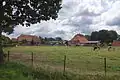 Weide im Ort