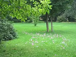 Bürgerpark