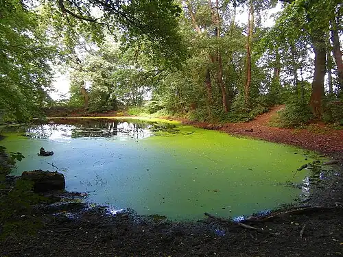 Naturdenkmal Osterteich in Lenthe
