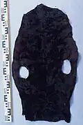 „Rockseal“, Mähnenrobbe im Jugendkleid, gefärbt