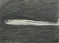 (A) Bleistiftzeichnung auf Ingres Büttenpapier, 1980