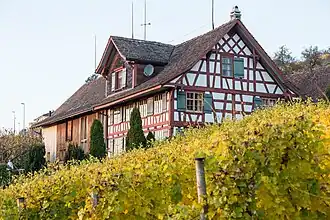 Schnellberg 3