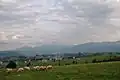 Almwirtschaft