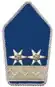 Schulterstück (Pioniertruppe)