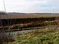 Der Fluss Pécsi-víz bei Kórós