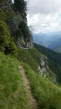 Pürschschneid