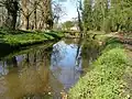 Die Regge