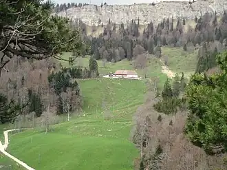Wandflue von Süden her gesehen