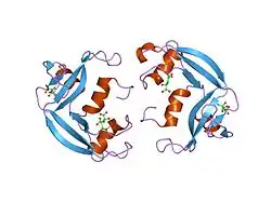 Eosinophiles kationisches Protein