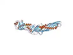 Bakterien permeabilisierendes Protein
