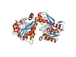 Trifunktionelles Purinsyntheseprotein