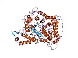 AMP-Desaminase