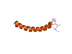 Cathelicidine