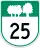 R25