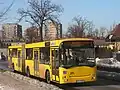 Gelenkbus Jelcz M181MB/3
