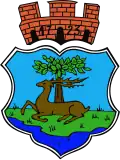 Wappen von Ryn