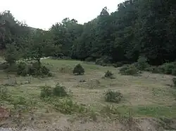 Carmignano