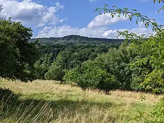 Holý vrch