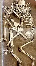 Erdbebenopfer vom 23. Juli 365, Kourion-Museum