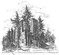 Zeichnung der Ruine von Max Kleiber, 1900