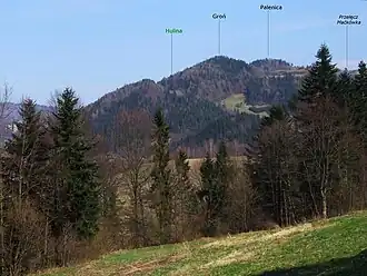 Blick