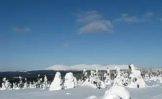 Ansicht des Pallastunturi-Massivs vom Gipfel des Sammaltunturi. Zu erkennen sind (von links nach rechts) die Gipfel des Laukukero, Taivaskero, Pyhäkero, Palkaskero und des Pallaskero zu erkennen.