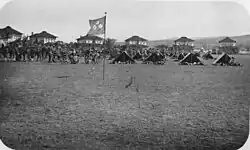 Palm Circle 1913