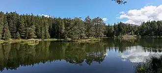 Panorama