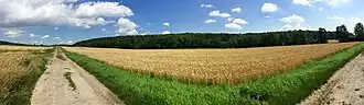 Blick auf den Steinberg