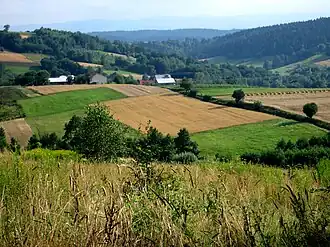 Sowina